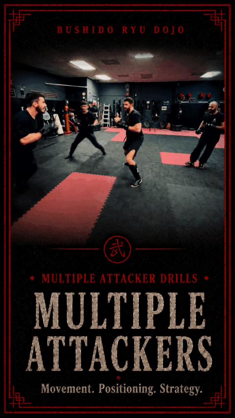 Strategy and tactics for fighting multiple opponents