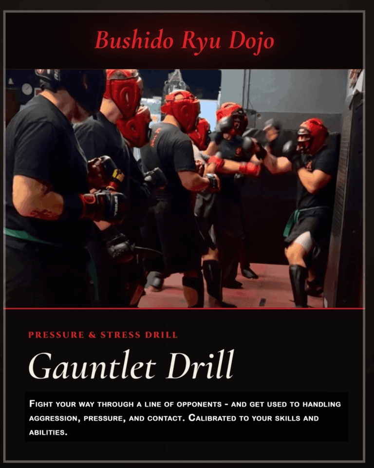 Fighting and Pressure Drill. Gauntlet also teaches you how to handle aggression and contact.