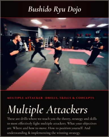 How to fight multiple attackers. Strategy and tactics.