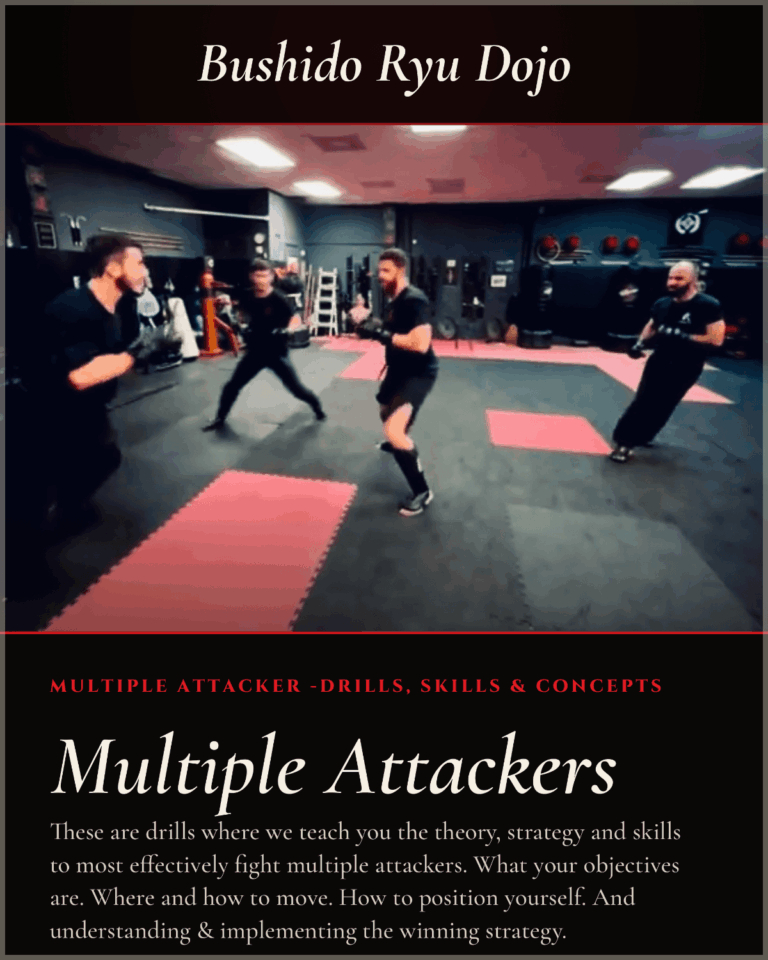 How to fight multiple attackers. Strategy and tactics.