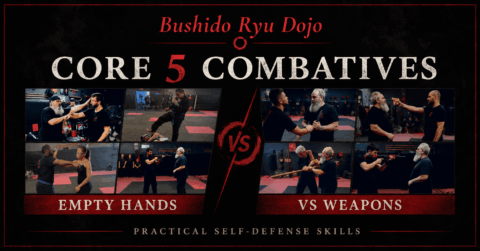 Core 5 Combatives Empty Hands & Weapon Skills