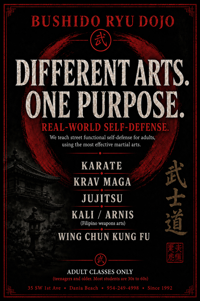 Martial arts as a toolbox different tools for different jobs self defense training Bushido Ryu Dojo Dania Beach