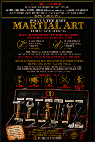 Martial arts as a toolbox different tools for different jobs self defense training Bushido Ryu Dojo Dania Beach