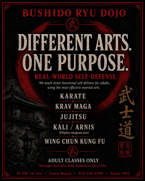 We have a variety of functional martial arts styles as the roots of our style -so we have all the self-defense skills.