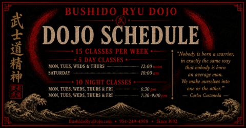 dojo schedule banner