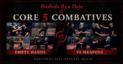 Core 5 Combatives weapons teaches you to be able to defend against the most common weapons attacks: Knife, pistol, club, baseball bat, rifle. What to do and how to do it