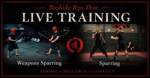 Live action training. Sparring is a really useful training tool. Empty hands and with weapons. It teaches you speed and power, timing, movement, handling aggression, handling contact using strategy and tactics.