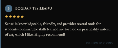5-star review for Bushido Ryu Dojo from Bogdan Tesileanu: "Sensei is knowledgeable, friendly, and provides several tools for students to learn. The skills learned are focused on practicality instead of art, which I like. Highly recommend!"