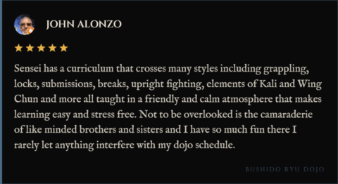 John Alonzo: Sensei has a curriculum that crosses many styles including grappling, locks, submissions, breaks, upright fighting, elements of Kali and Wing Chun and more all taught in a friendly and calm atmosphere that makes learning easy and stress free. Not to be overlooked is the camaraderie of like minded brothers and sisters and I have so much fun there I rarely let anything interfere with my dojo schedule.