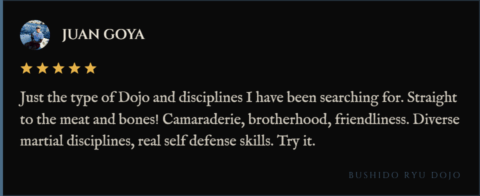 5-star review for Bushido Ryu Dojo from Juan Goya: "Just the type of Dojo and disciplines I have been searching for. Straight to the meat and bones! Camaraderie, brotherhood, friendliness. Diverse martial disciplines, real self defense skills. Try it."