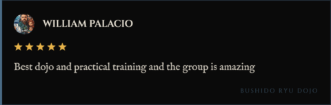 5-star review for Bushido Ryu Dojo from William Palacio