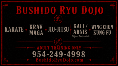 krav maga self defense dania beach bushido ryu dojo all styles banner