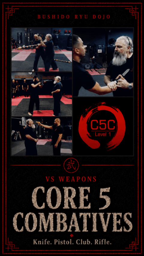krav maga self defense dania beach core 5 combatives barehand defense big