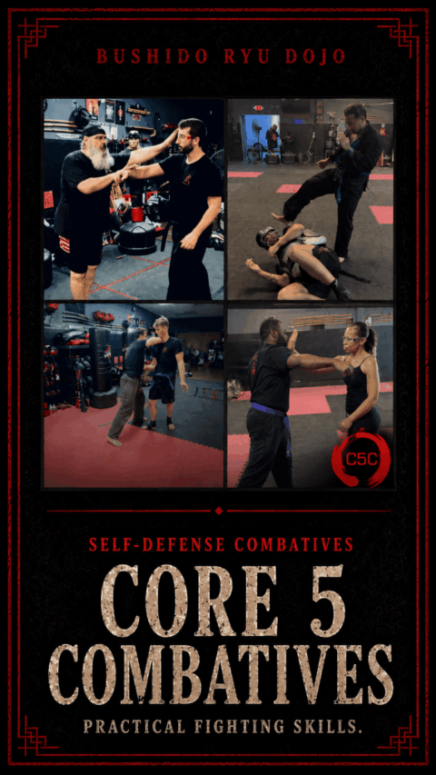 krav maga self defense dania beach core 5 combatives barehand tall