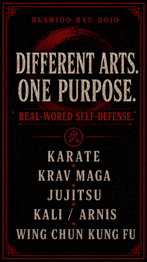 krav maga self defense dania beach different arts same purpose self defense tall