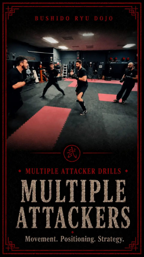 Krav Maga multiple attacker training