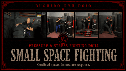 krav maga self defense dania beach small space fighting banner