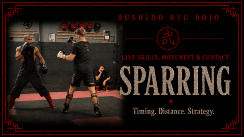 krav maga self defense dania beach sparring, fighting drill banner