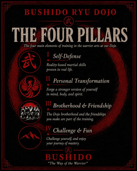 The four main aspects of training at our dojo are: Self-defense, Personal transformation, Brotherhood and friendship, Challenge and fun of the training