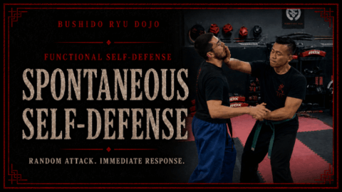 Self-defense skill versus random attacks.